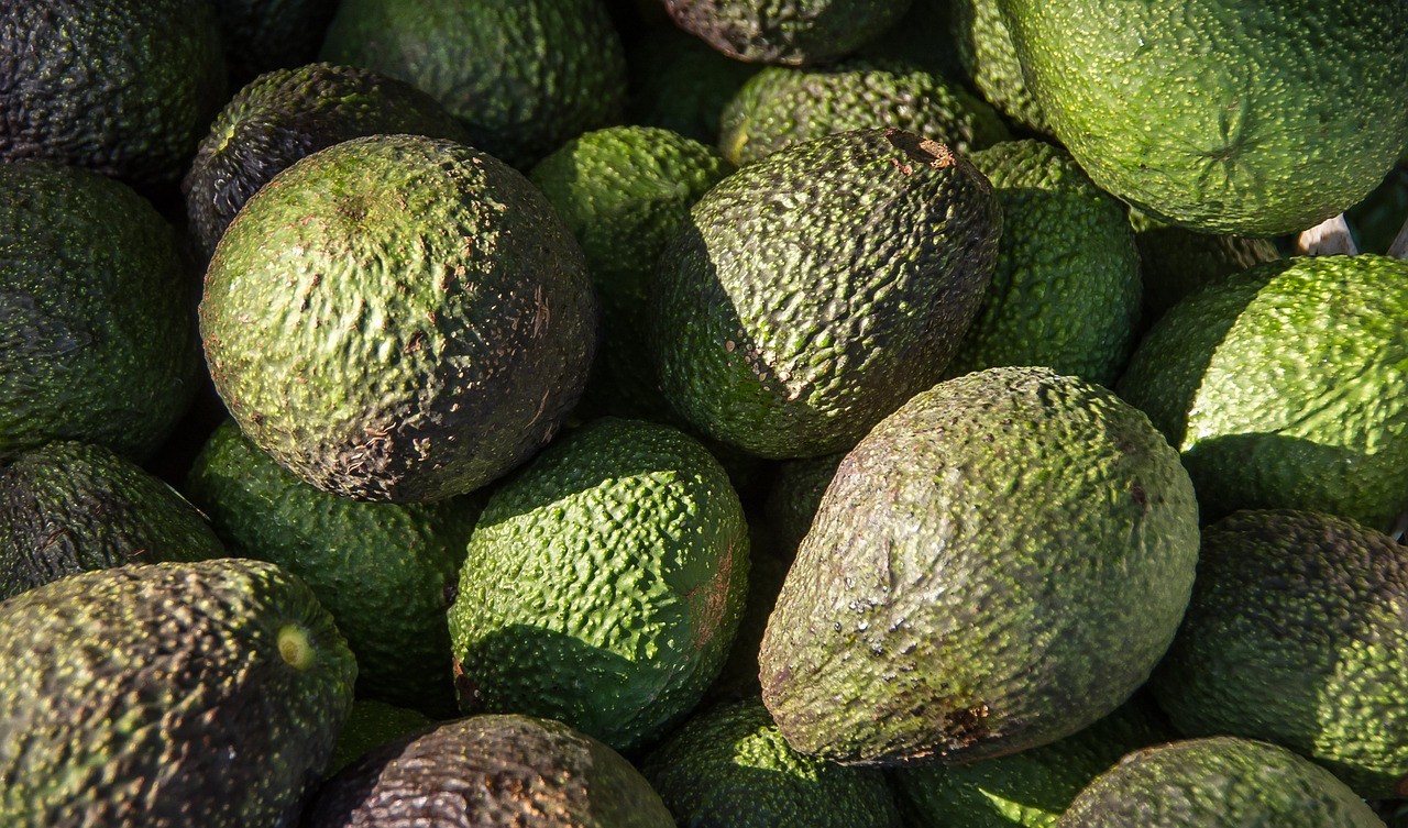 Alerte sur les avocats : que faut-il savoir sur la contamination au plomb et au cadmium dans certains lots vendus en France ?